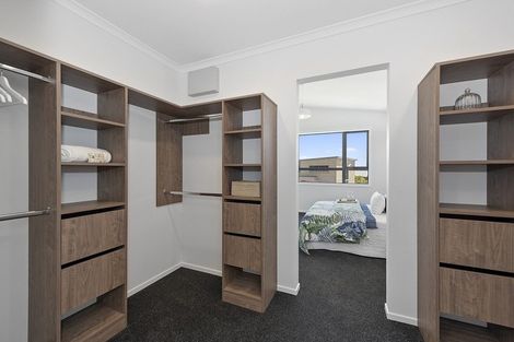 Photo of property in 66 Featherstone Drive, Flagstaff, Hamilton, 3210