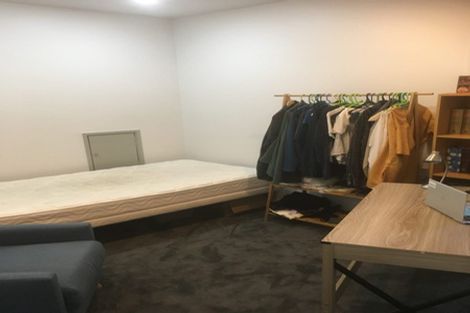 Photo of property in The Lofts, 185u6 Victoria Street, Te Aro, Wellington, 6011
