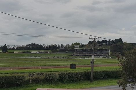 Photo of property in 400 Racecourse Road, Te Awamutu, 3800