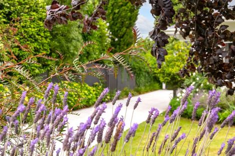 Photo of property in 7 Coradine Street, Masterton, 5810