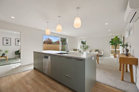 Photo of property in 49 Henshaw Street, Woodend, 7610