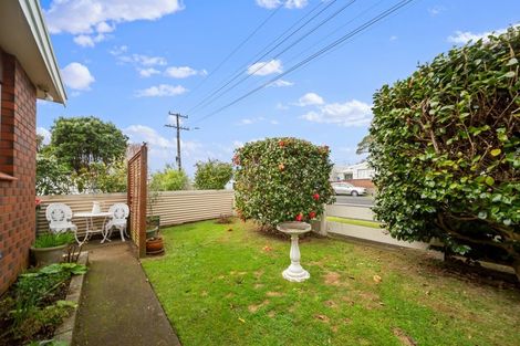 Photo of property in 127 Lemon Street, New Plymouth, 4312