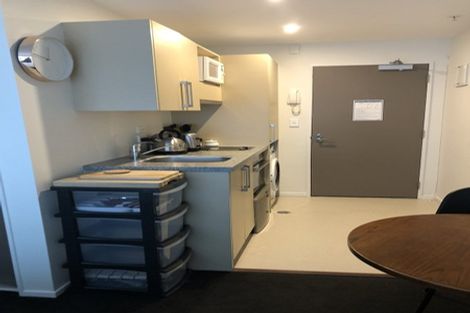 Photo of property in Dual Apartments, 108/142u Vivian Street, Te Aro, Wellington, 6011
