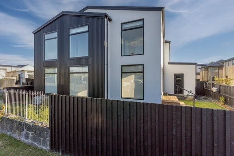 Photo of property in 47 Canon Street, St Albans, Christchurch, 8014