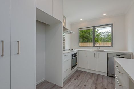 Photo of property in 30b Duke Street, Levin, 5510