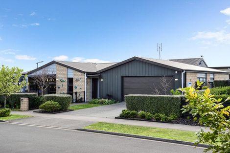 Photo of property in 42 Voight Avenue, Chartwell, Hamilton, 3210