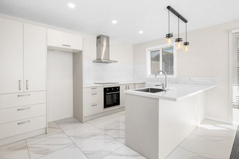 Photo of property in 1/55 Havelock Street, Ashburton, 7700