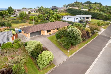 Photo of property in 23 Emmerdale Place, Ohauiti, Tauranga, 3112