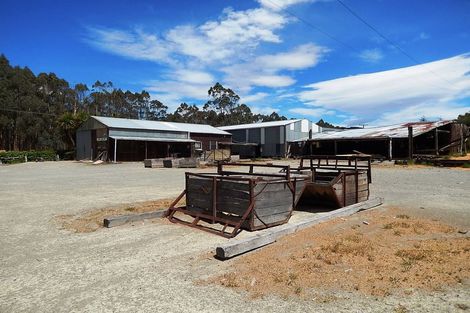 Photo of property in 43 Trent Street, Oamaru, 9400