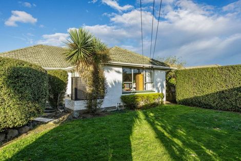 Photo of property in 45 Jocelyn Street, Casebrook, Christchurch, 8051