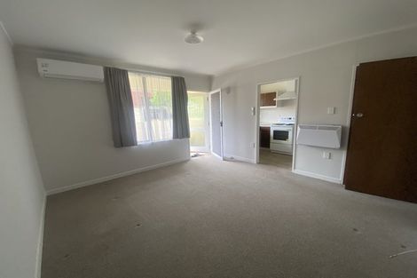 Photo of property in 306 Ulster Street, Whitiora, Hamilton, 3200