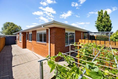 Photo of property in 50 Catalina Drive, Melville, Hamilton, 3206
