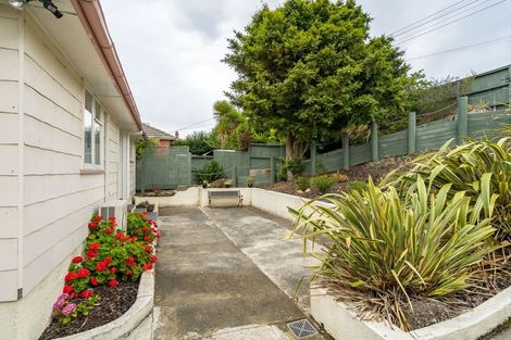 Photo of property in 45 Cockerell Street, Brockville, Dunedin, 9011