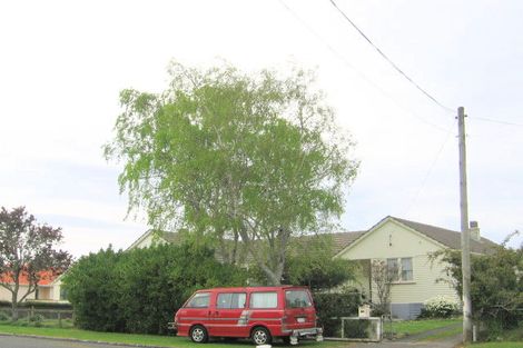 Photo of property in 45b Goodwin Avenue, Morrinsville, 3300