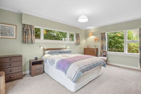 Photo of property in 19 Tweed Street, Roslyn, Dunedin, 9010