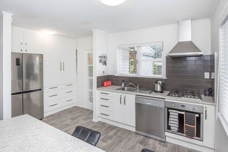 Photo of property in 191 Clarkin Road, Fairfield, Hamilton, 3214