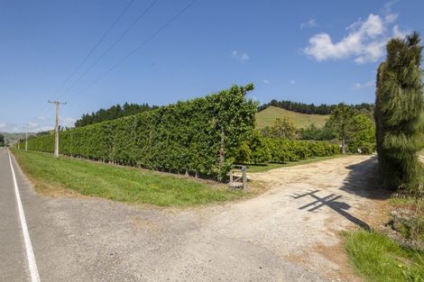 Photo of property in 98 Taurau Valley Road, Manutuke, 4072
