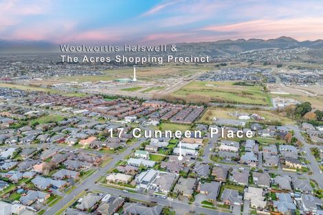 Photo of property in 17 Cunneen Place, Aidanfield, Christchurch, 8025