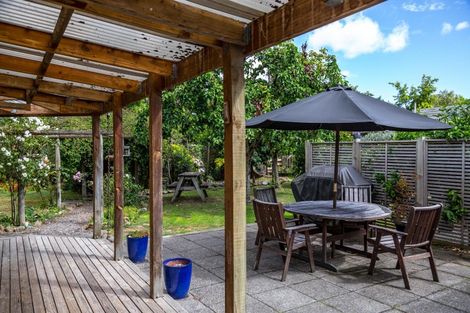 Photo of property in 60 Cole Street, Masterton, 5810