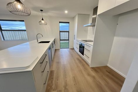 Photo of property in 124 Jean Archie Drive, Rolleston, 7614