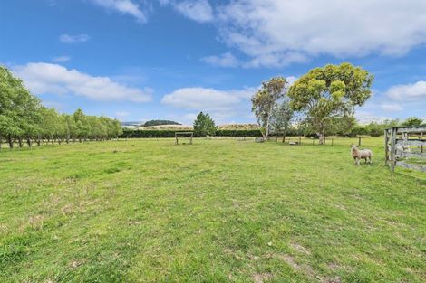 Photo of property in 17 Duck Pond Road, Motukarara, Tai Tapu, 7672