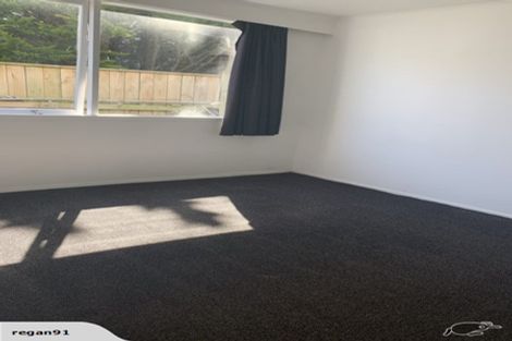 Photo of property in 78 Mcalpine Avenue, Mount Cook, Wellington, 6011