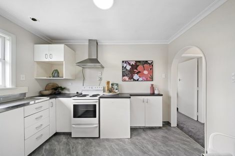 Photo of property in 96 Tiro Tiro Road, Levin, 5510