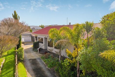 Photo of property in 24 Nicholas Avenue, Whitianga, 3510