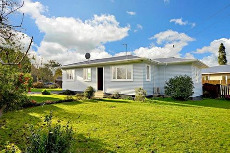Photo of property in 172 Old Wairoa Road, Papakura, 2110