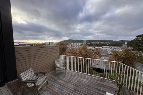 Photo of property in 27e Thompson Street, Mount Cook, Wellington, 6011
