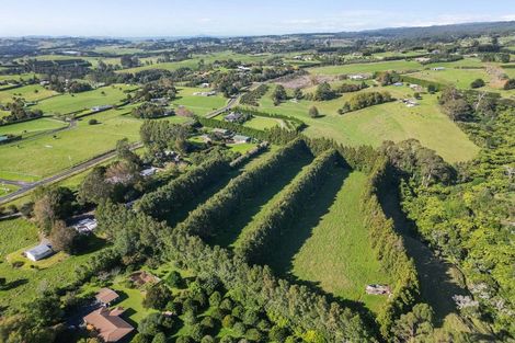 Photo of property in 486 Esdaile Road, Whakamarama, Tauranga, 3180
