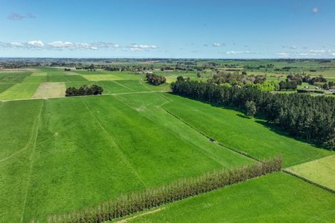 Photo of property in 1678 Kimbolton Road, Cheltenham, Feilding, 4777