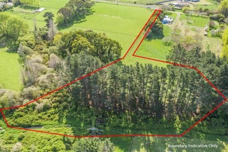Photo of property in 82 Jacksons Road, Koputaroa, Shannon, 5575
