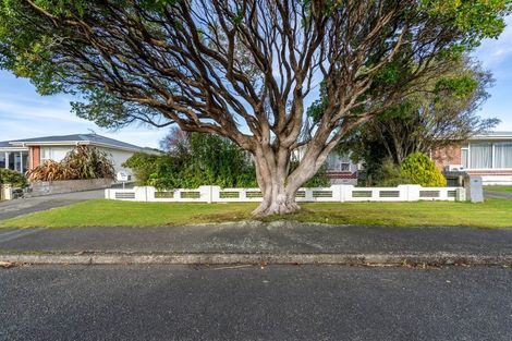 Photo of property in 161 Dome Street, Newfield, Invercargill, 9812