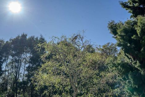 Photo of property in 121c Waimate North Road, Kerikeri, 0293