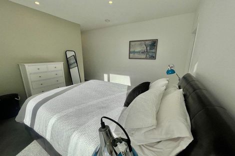 Photo of property in Trinity Apartments, 303/19 College Street, Te Aro, Wellington, 6011