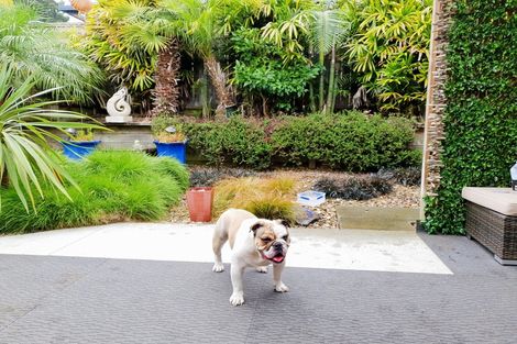 Photo of property in 28 Lochiel Place, Te Kamo, Whangarei, 0112