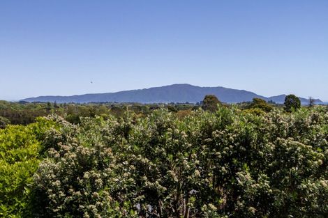 Photo of property in 56 Kakariki Grove, Waikanae, 5036