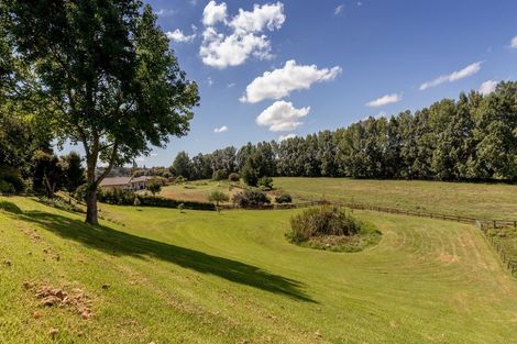 Photo of property in 195r Oropi Road, Oropi, Tauranga, 3173