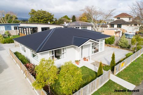 Photo of property in 39a Sheffield Street, Awapuni, Palmerston North, 4412