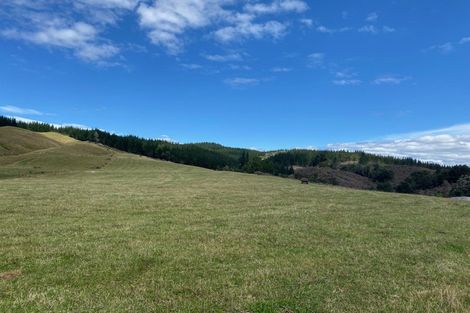 Photo of property in 1669 Tadmor-glenhope Road, Tapawera, Wakefield, 7096