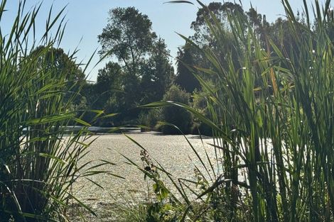 Photo of property in 70 Te Whanga Road, Levin, 5572