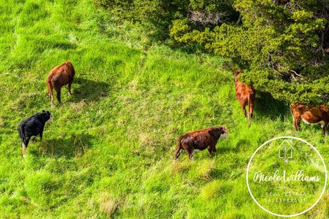 Photo of property in 297 Heatley Road, Whakapirau, Maungaturoto, 0583