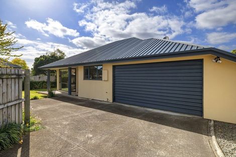 Photo of property in 144 Edinburgh Street, Spreydon, Christchurch, 8024