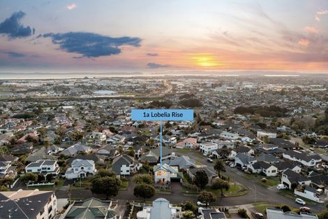 Photo of property in 1a Lobelia Rise, Goodwood Heights, Auckland, 2105