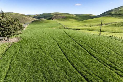 Photo of property in 906 Te Aute Trust Road, Poukawa, 4178