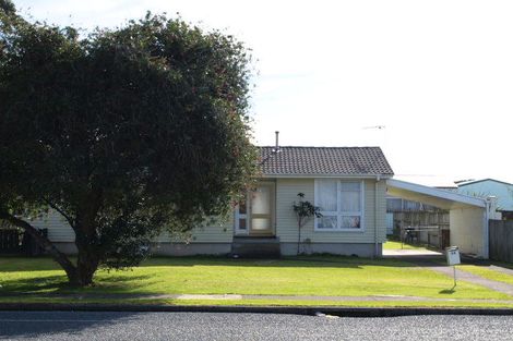 Photo of property in 46 Wakefield Road, Favona, Auckland, 2024