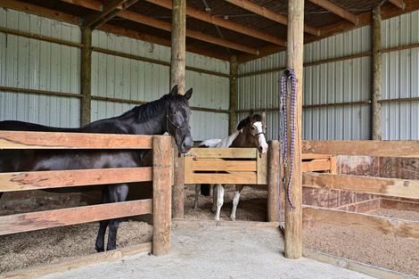 Photo of property in 65b Ngakoroa Road, Ormond, Gisborne, 4071