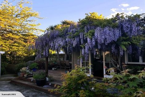 Photo of property in 38 Thornton Street, Mairehau, Christchurch, 8013