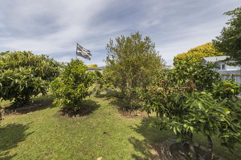 Photo of property in 171 Vogel Street, Roslyn, Palmerston North, 4414